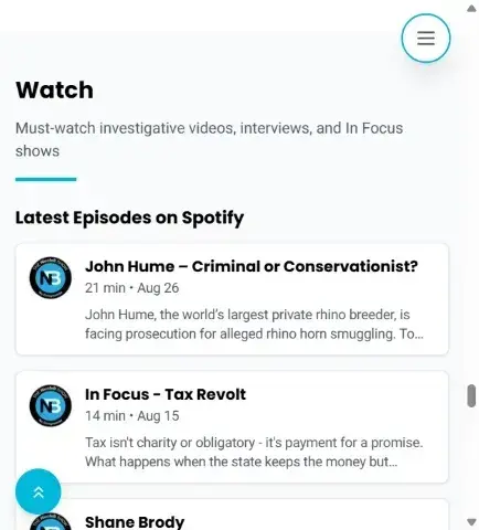 Nicole Barlow Website - Mobile view showcase