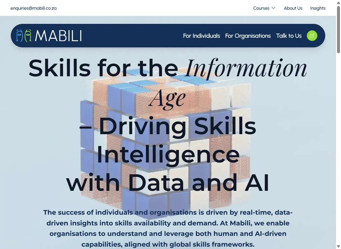 Mabili Website – Skills Intelligence Platform - Hero section, main banner image
